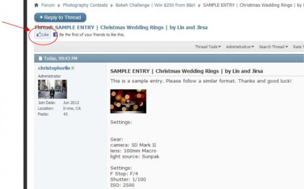 sample-like-forum