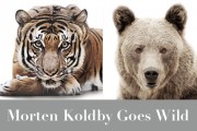 koldby-animal-feature