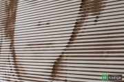 wood-print-2