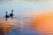 DSC_4858--20x30_180-XL-2
