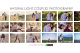 Engagement Photography