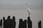 lightroom-4-major-cropping-featured-image