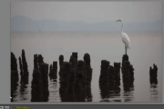 lightroom-4-soft-proofing-develop-module-toolbar-featured-image