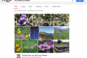 2013-05-23-myphotosofflowers